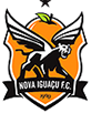 NIFC Logo